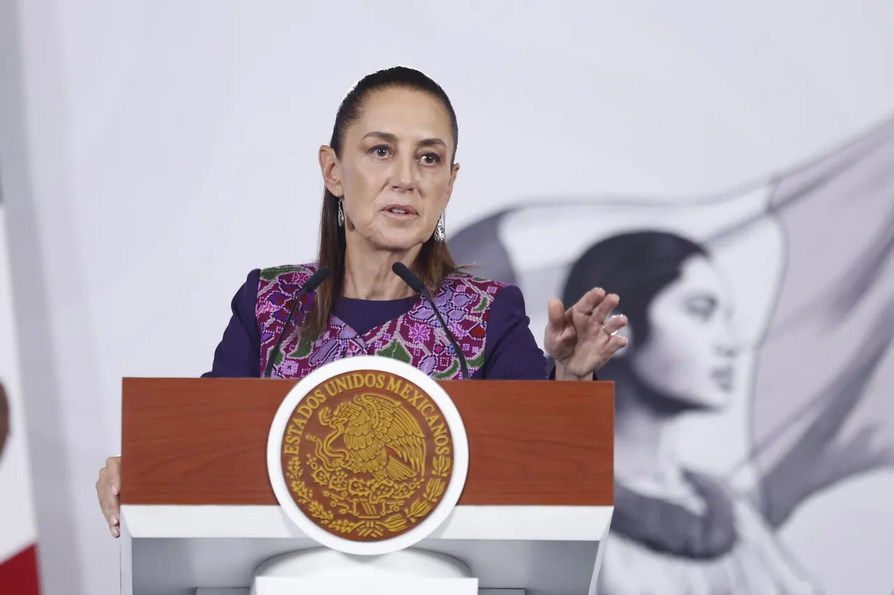 Sheinbaum propone revisar normas tras sacrificio de 10 mil perros en Tecámac