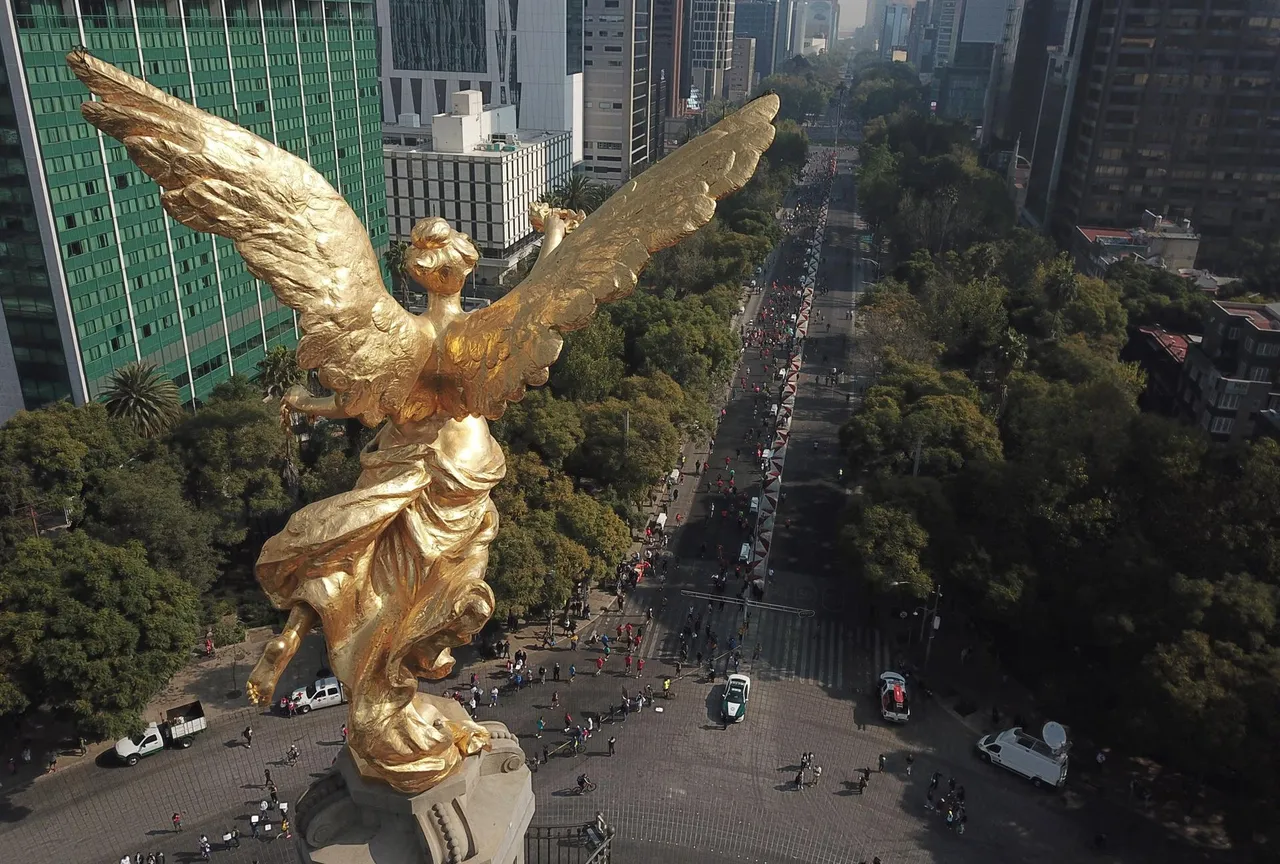 cdmx 564551