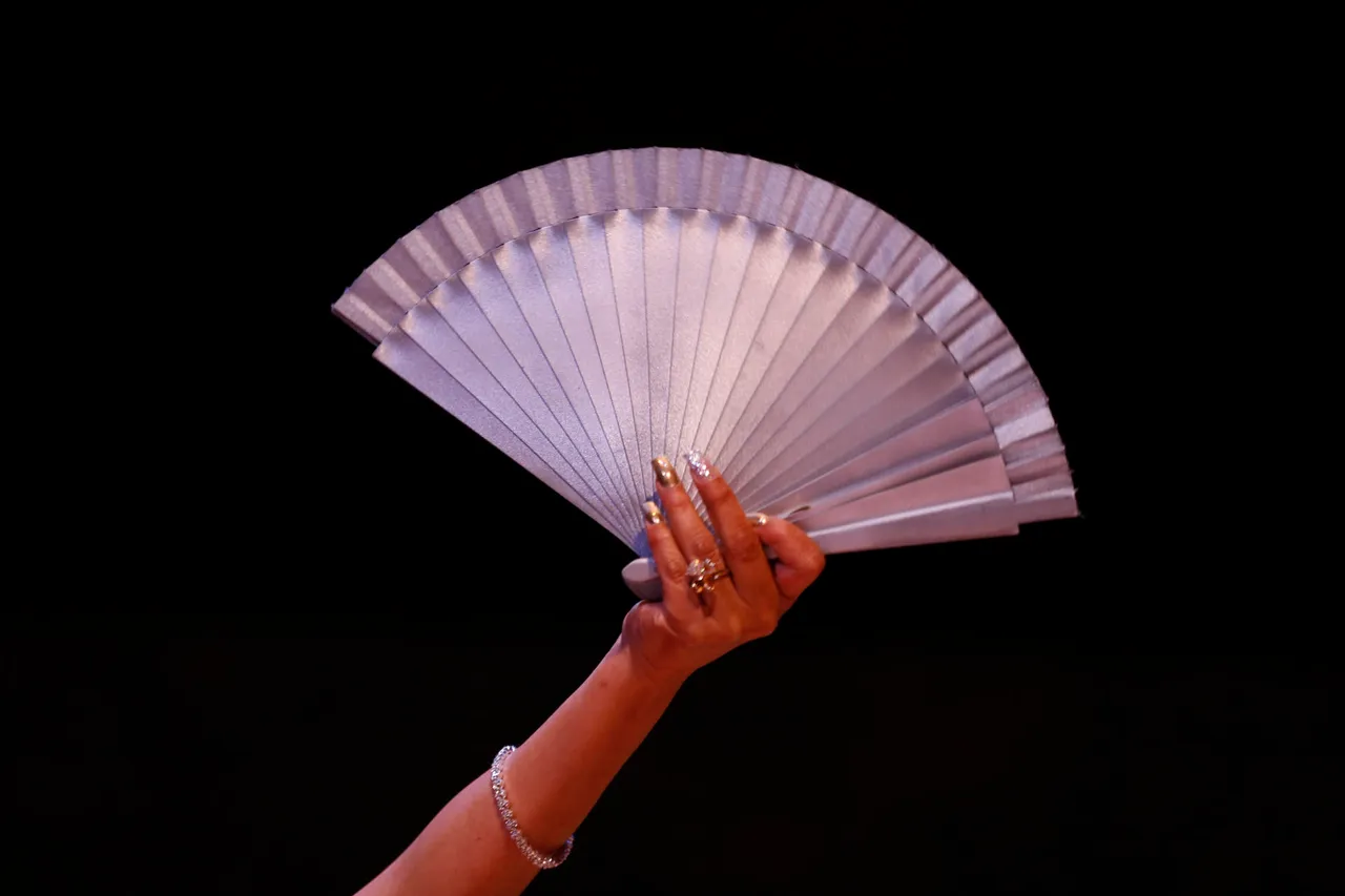 Decenas de parejas muestran elegancia del danzón en oeste de México