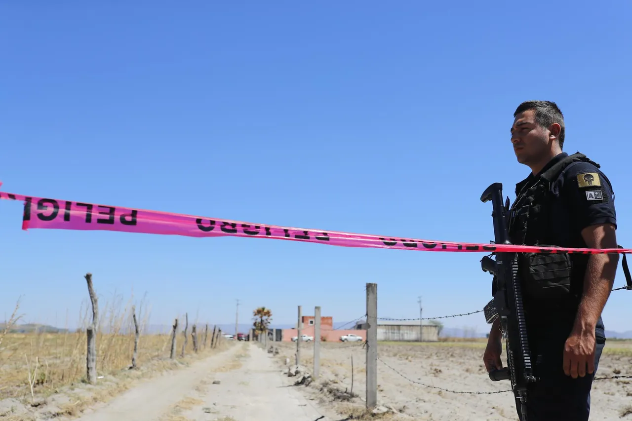 Fiscalía mexicana ubica 6 sitios con restos óseos y unos 500 indicios en predio del narco