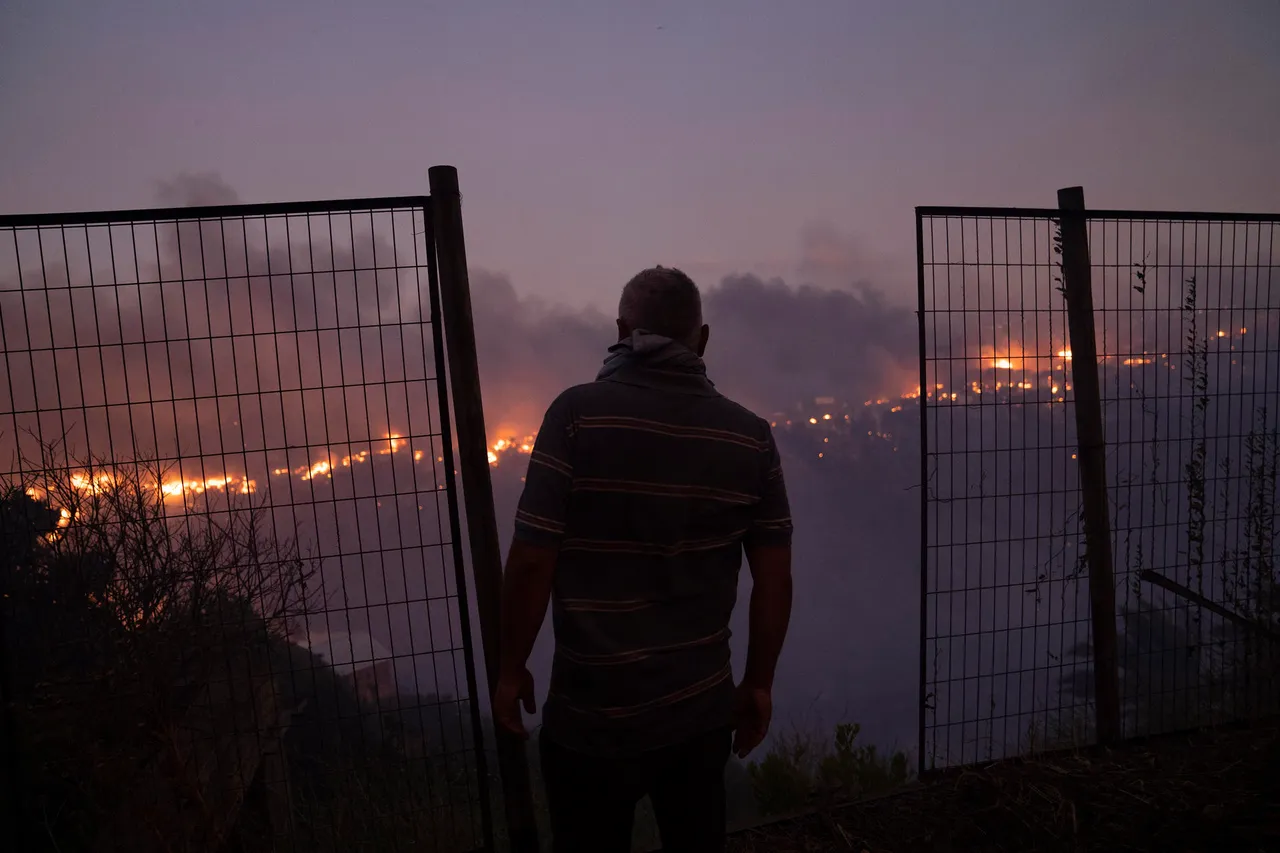 Incendio forestal en Viña del Mar