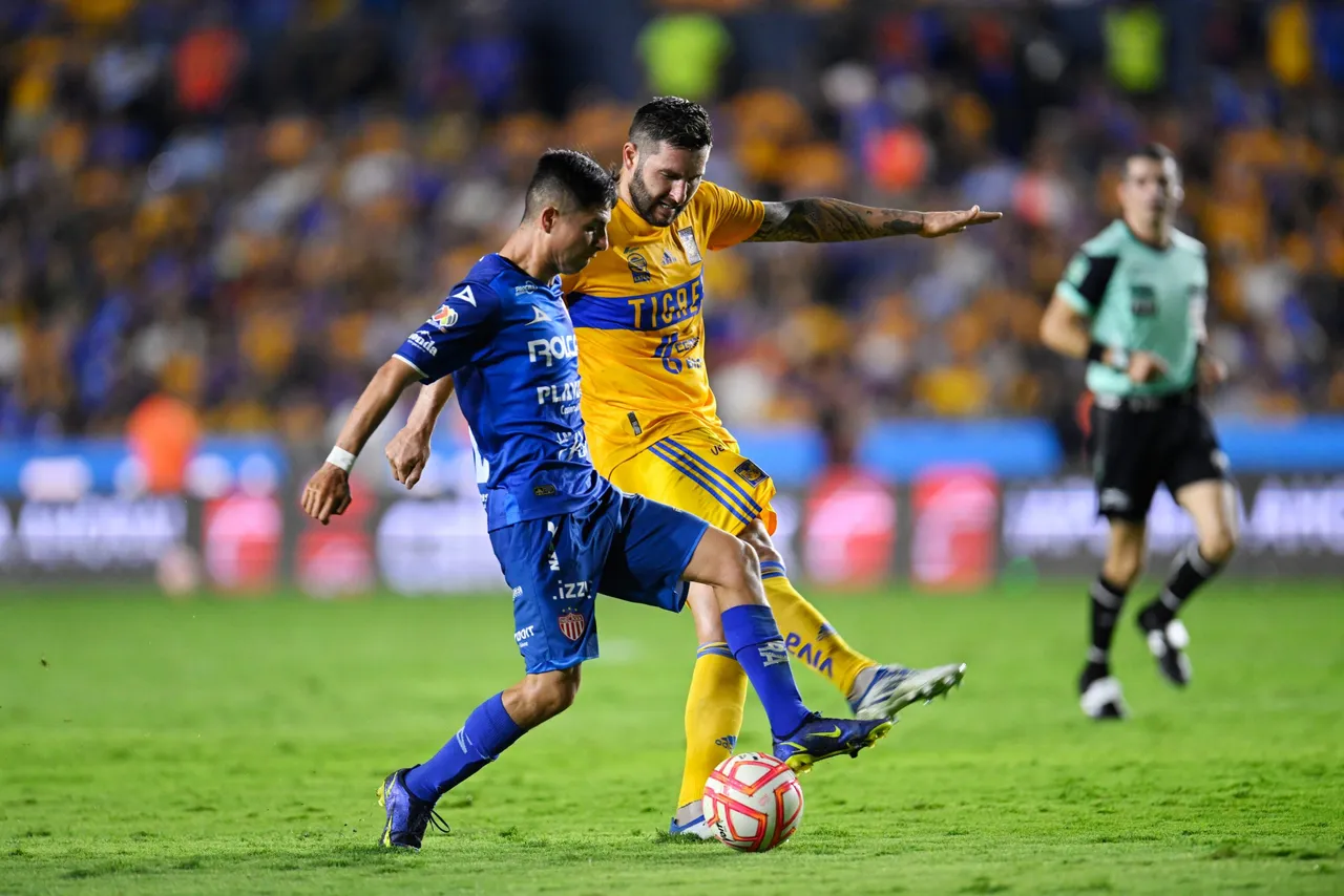 _LMX_A22_UANL_NEC_