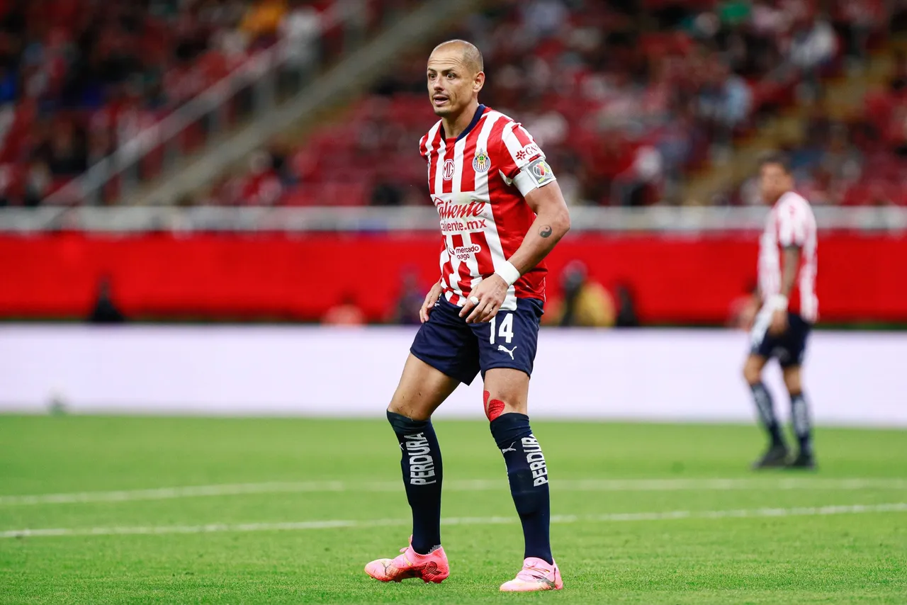 Liga BBVA MX Apertura 2024 Guadalajara vs Toluca