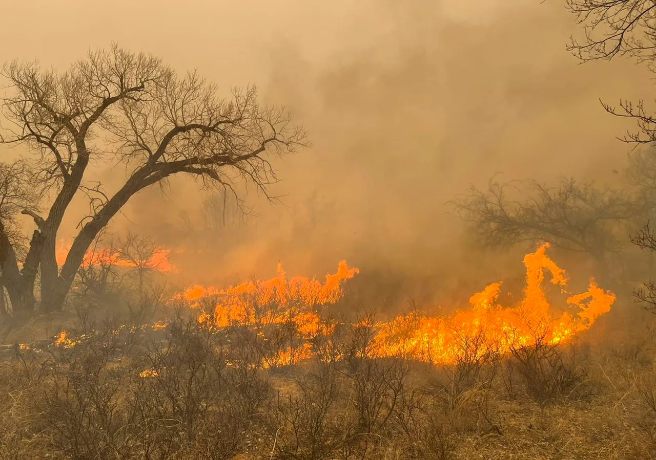Wildfires in Texas Panhandle