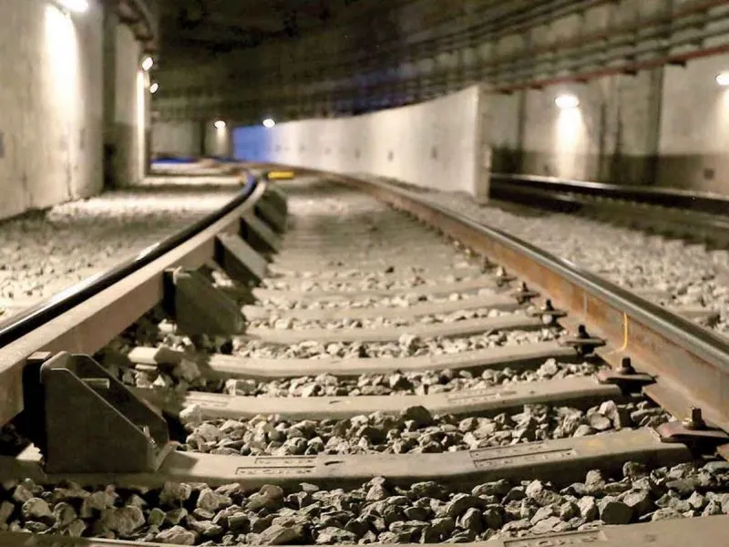 2635398