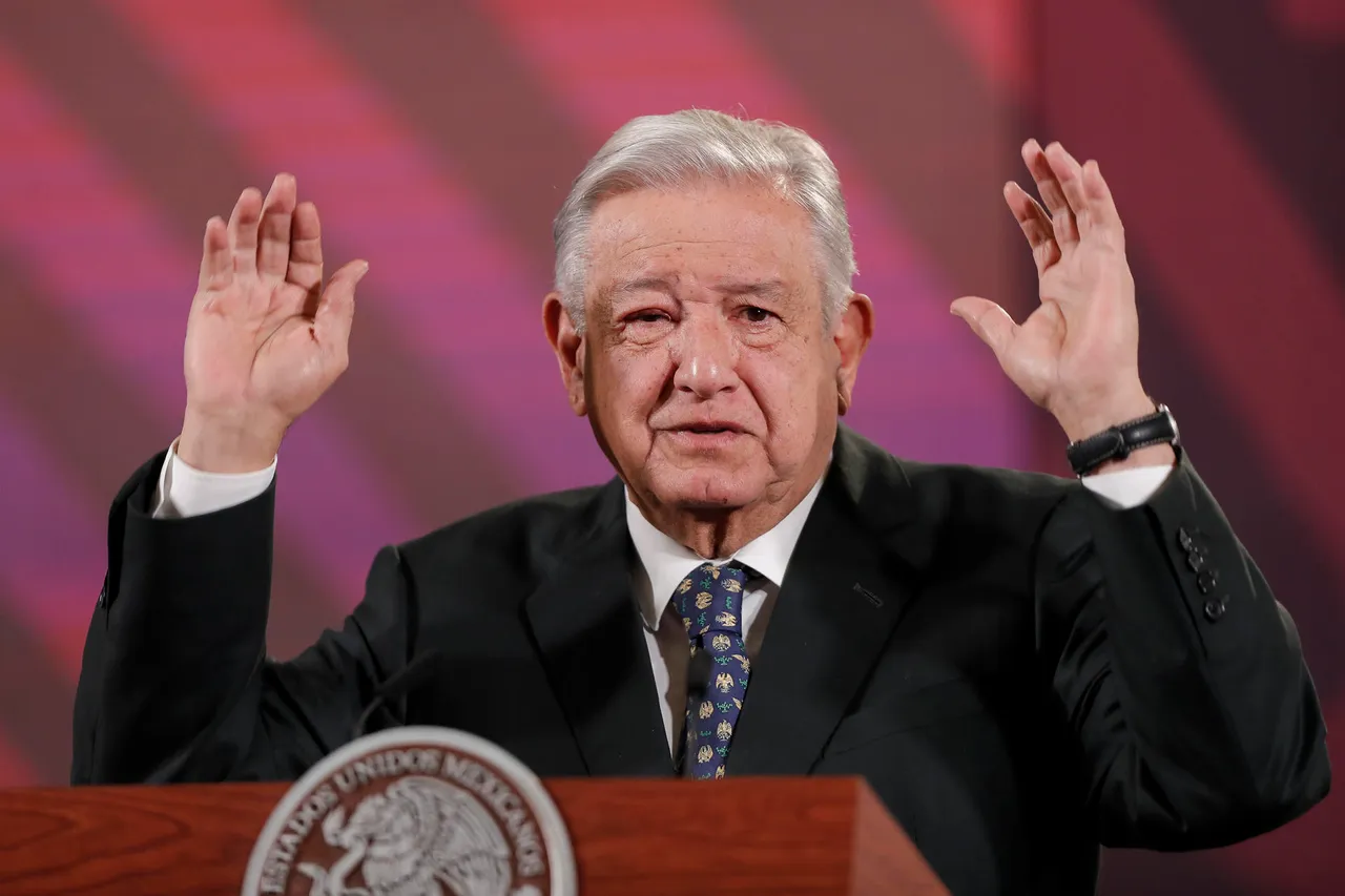 López Obrador dice que asesinato de líder buscadora de desaparecidos no fue por su labor