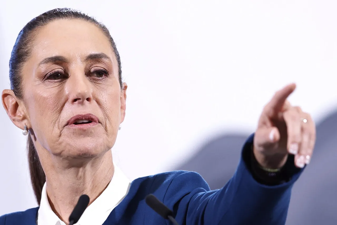 Sheinbaum dice que también hay precursores y fentanilo que viene desde EE.UU. a México