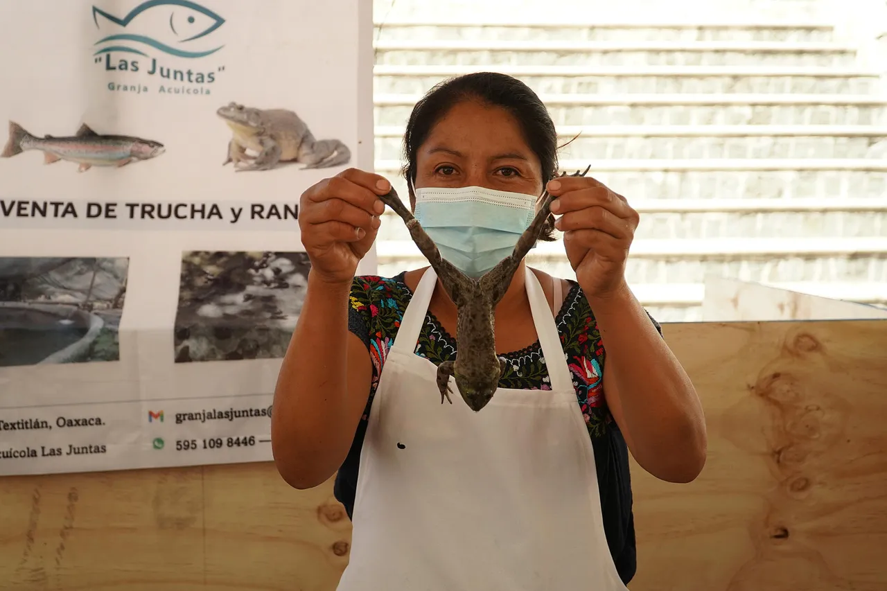 Las ranas experimentan auge gastronómico en sur de México ante la Cuaresma