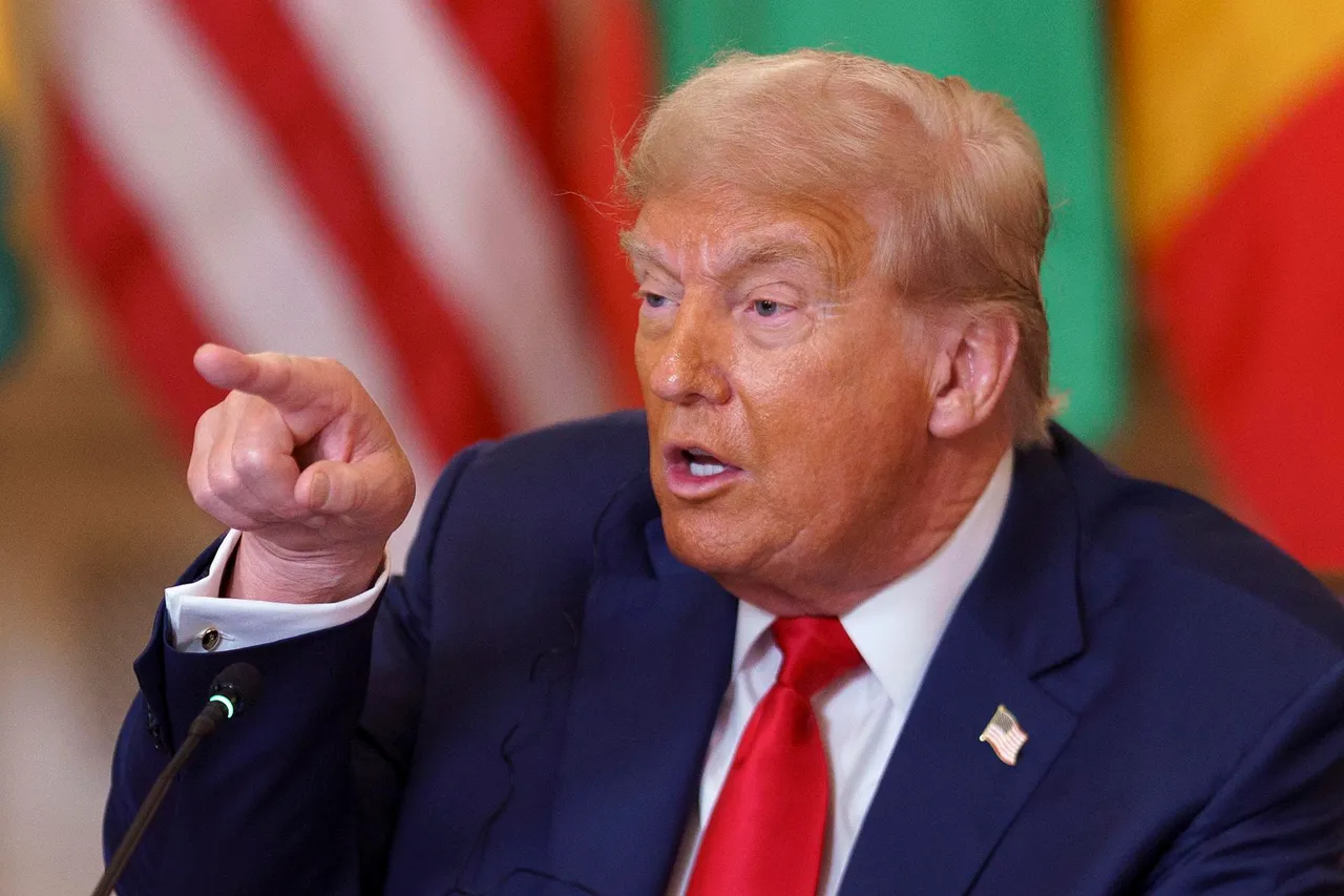US President Donald Trump meets African leaders at the White House