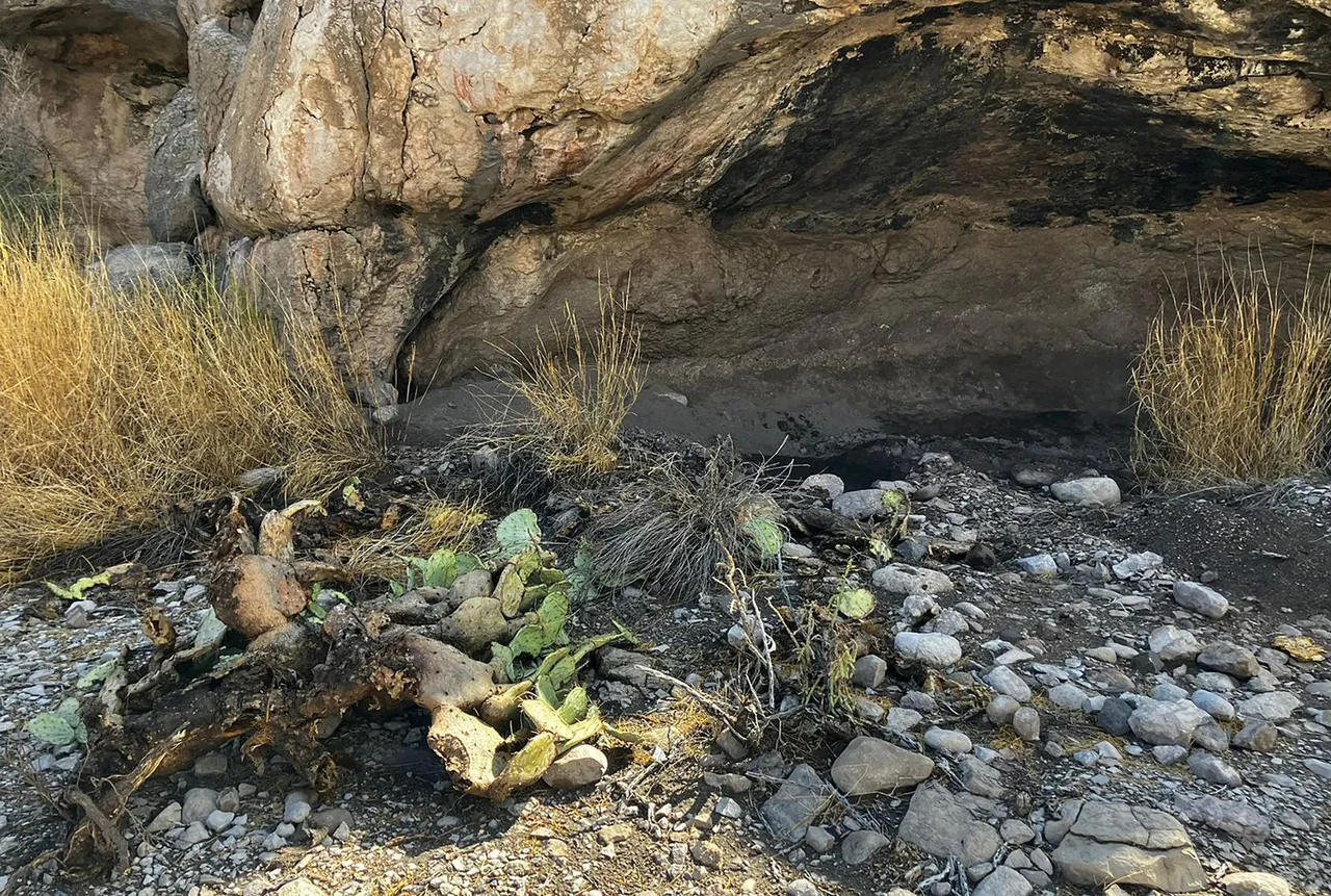 Autoridades mexicanas interponen demanda por saqueo en sitio arqueológico