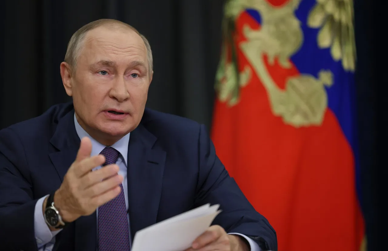 putin 523541