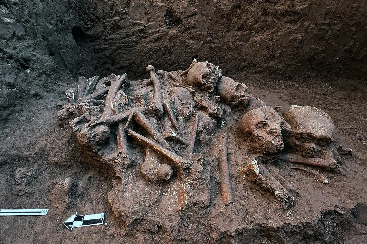Hallan sistema funerario prehispánico en estado mexicano de Nayarit durante obras públicas