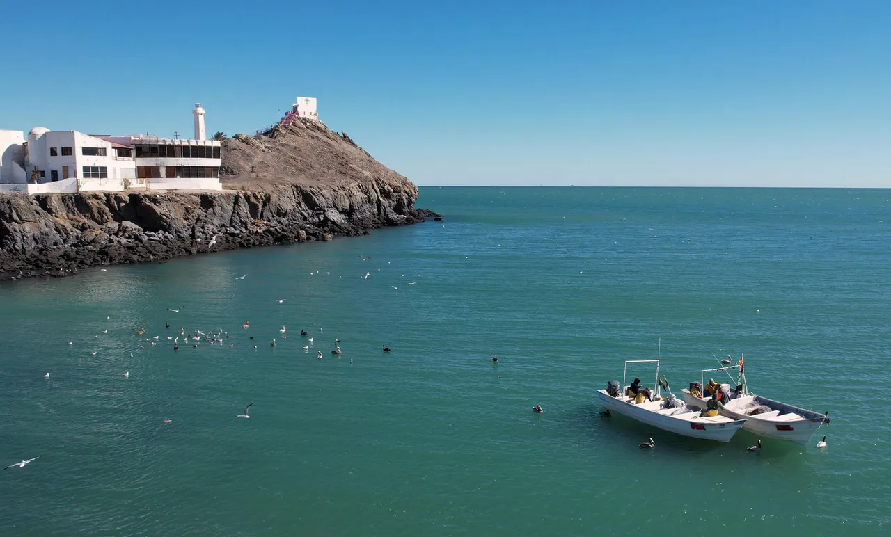 Pesca de camarón en norte de México amenaza a la disminuida población de la vaquita marina