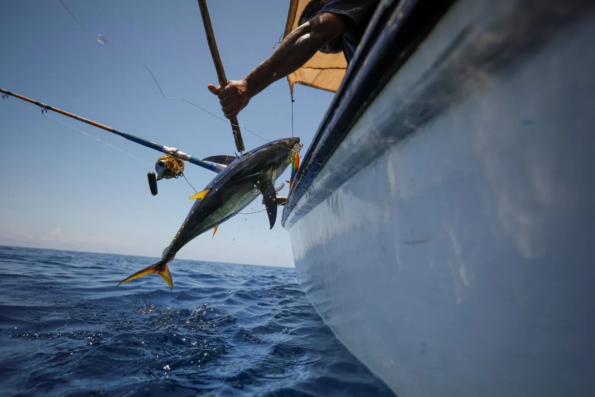 pescado