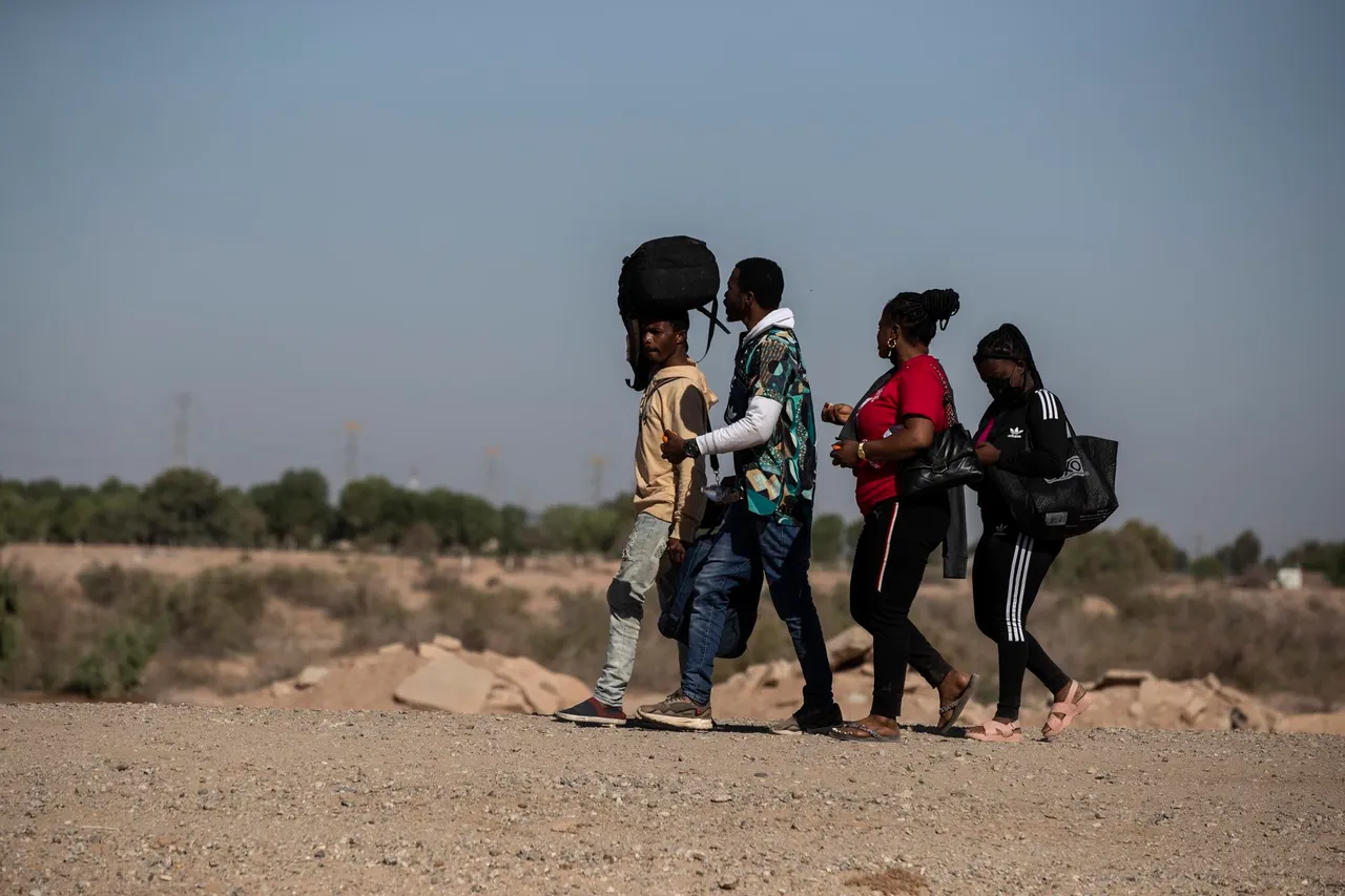MIGRANTES HDFF
