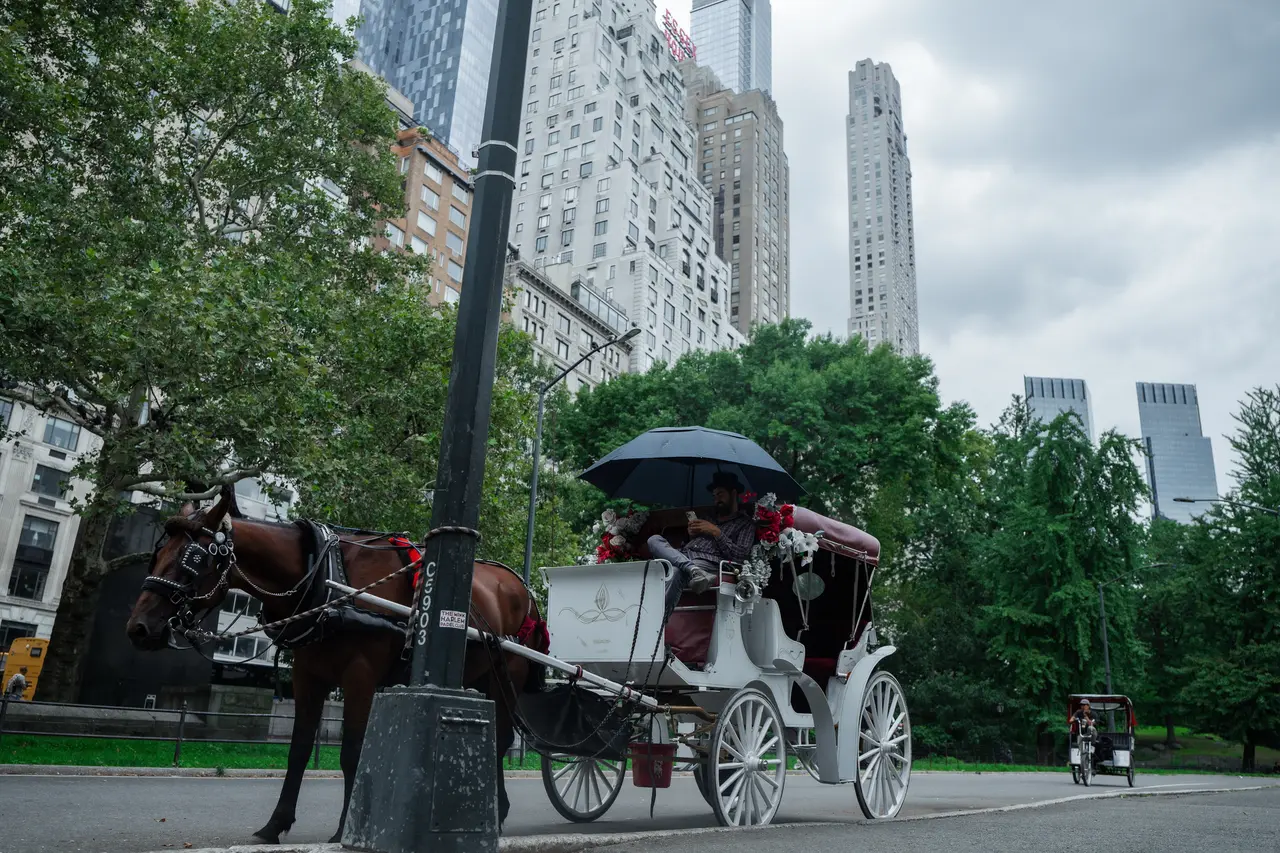 New York / EFE 