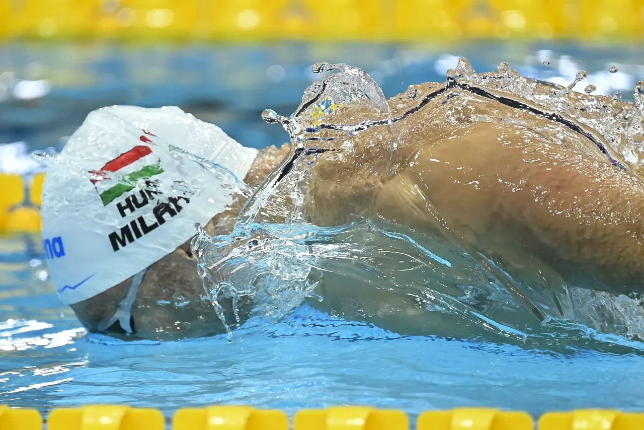 FINA World Aquatics Championships