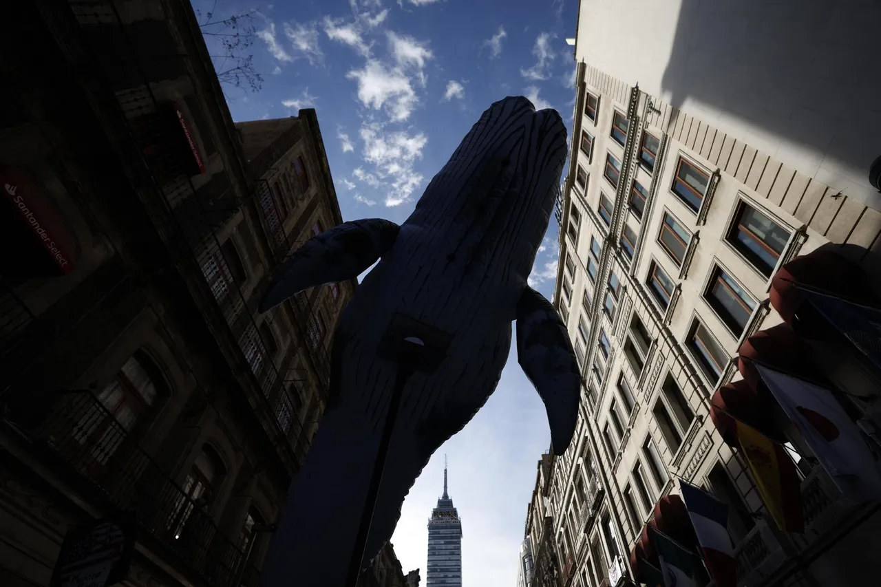 Una ballena &#8216;navega&#8217; en Ciudad de México para exigir frenar proyecto de gas en el Pacífico