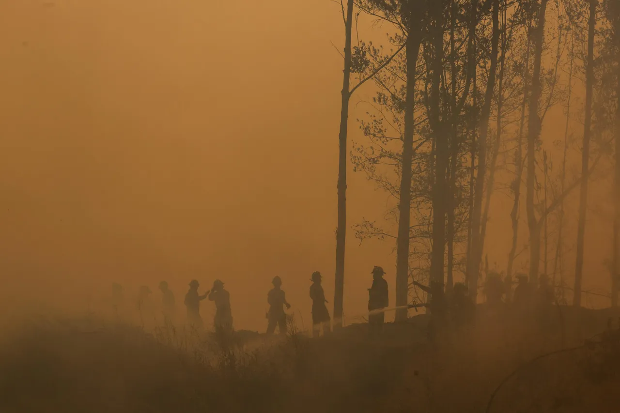 Gobierno de Chile anuncia medidas de ayuda y recuperación tras incendios