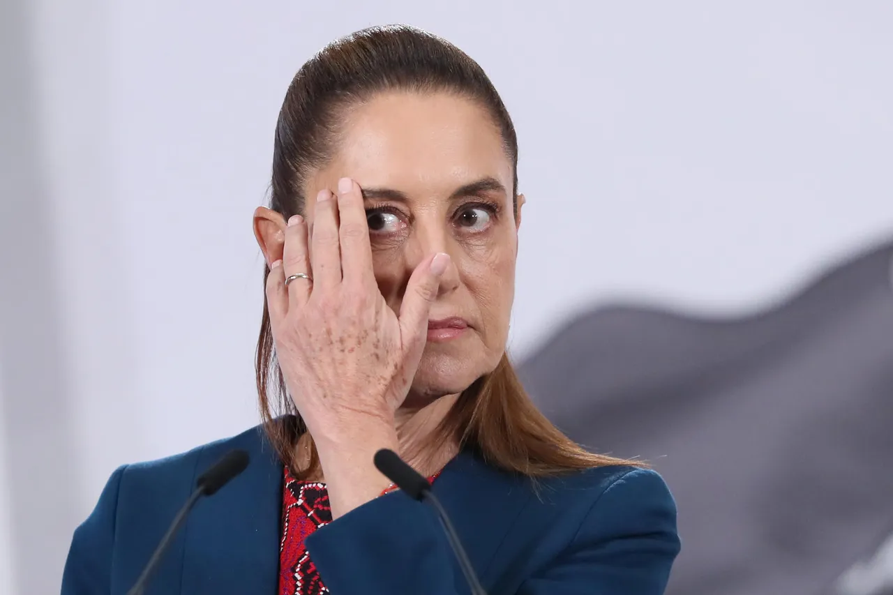 Ante rechazo del Verde y PT, Morena activa el "Plan B" electoral de Sheinbaum en el Senado