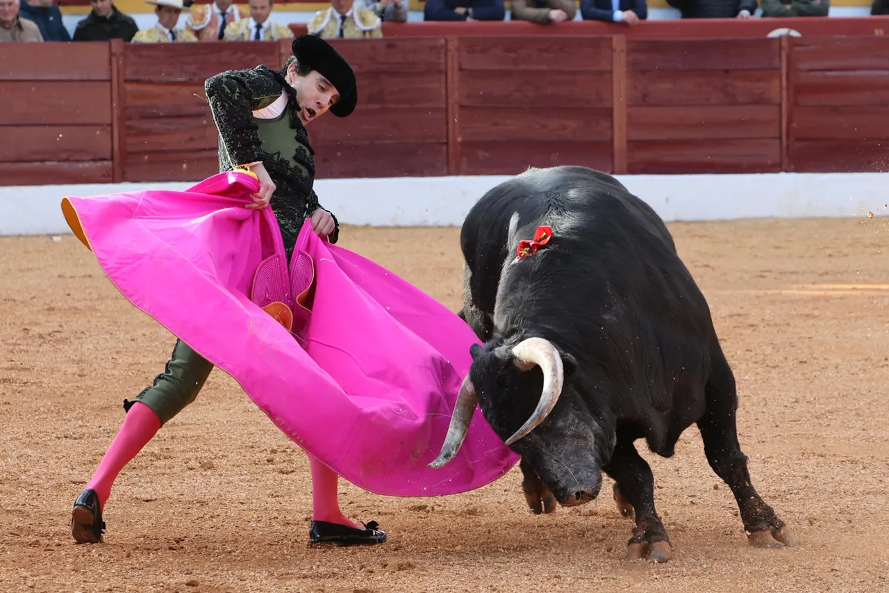 TOROS VF