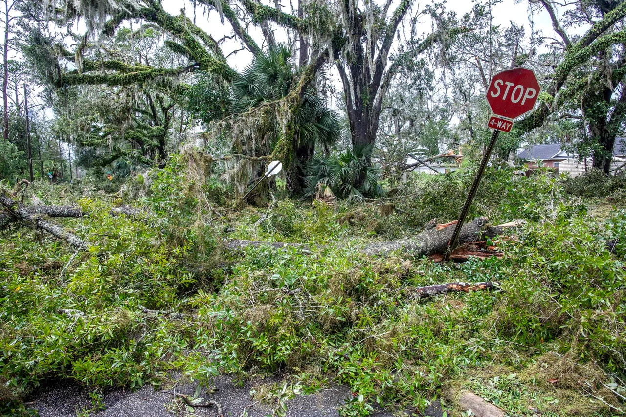Hurricane Idalia makes landfall in Florida
