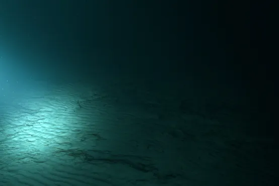 AGUA