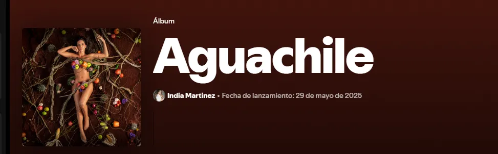 AGUACHILE