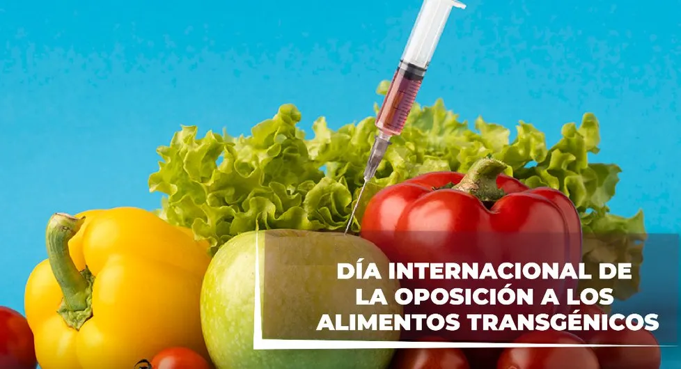 ALIMENTOS TRANSGÉNICOS