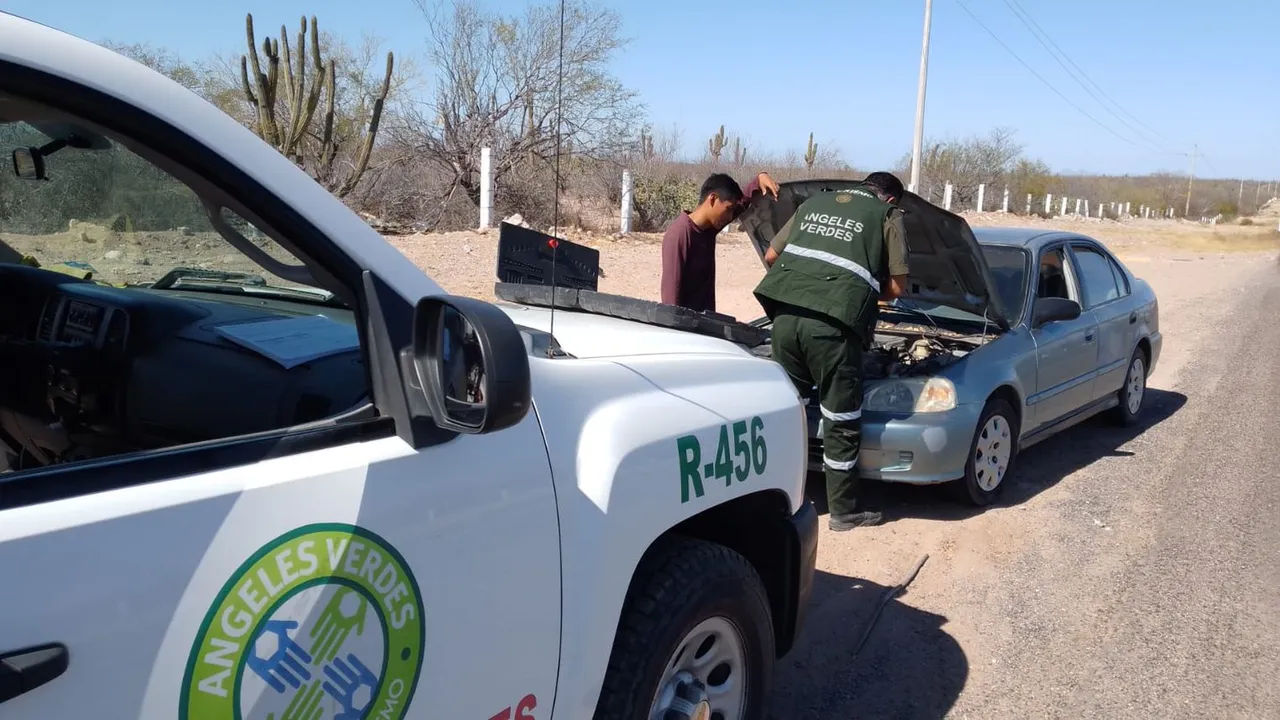 Ángeles Verdes