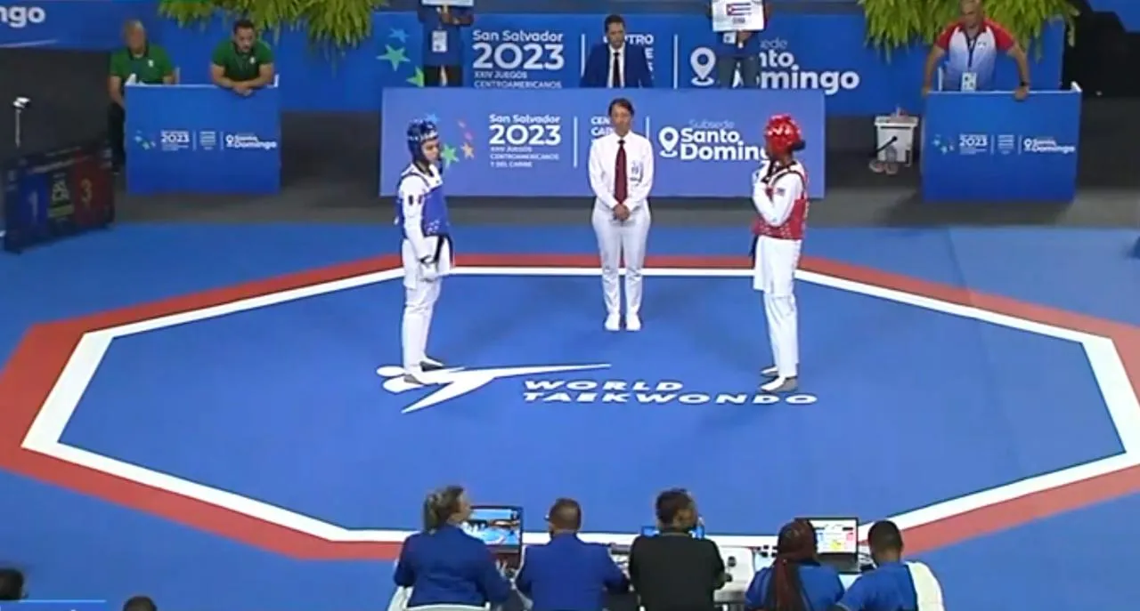 Aspecto de taekwondo (2)