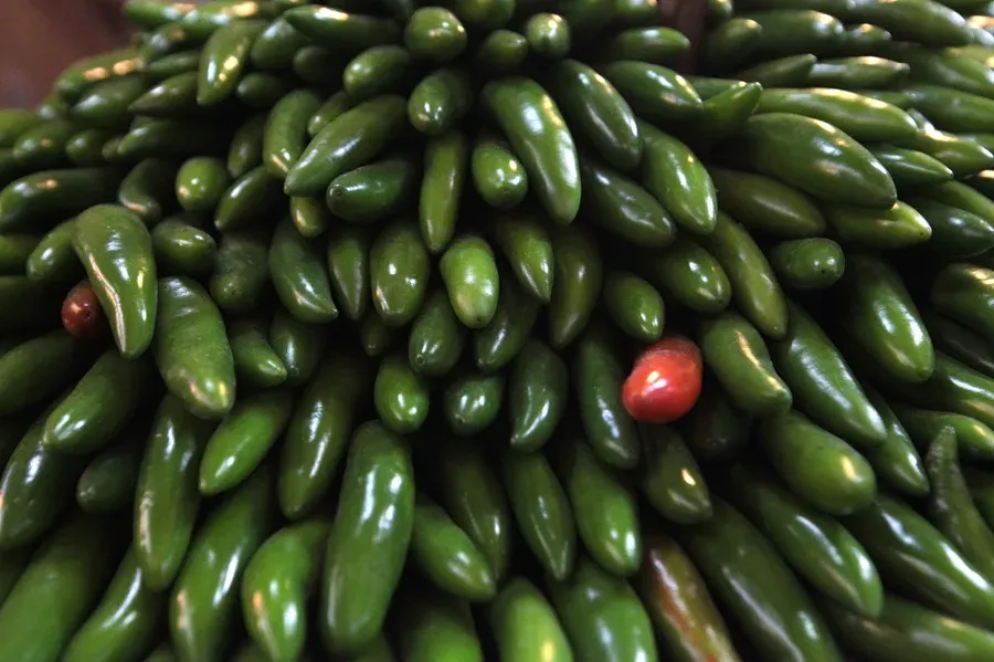 Autoridad sanitaria mexicana descarta Salmonella Javiana en chiles jalapeños en Nuevo León | FOTO EFE 