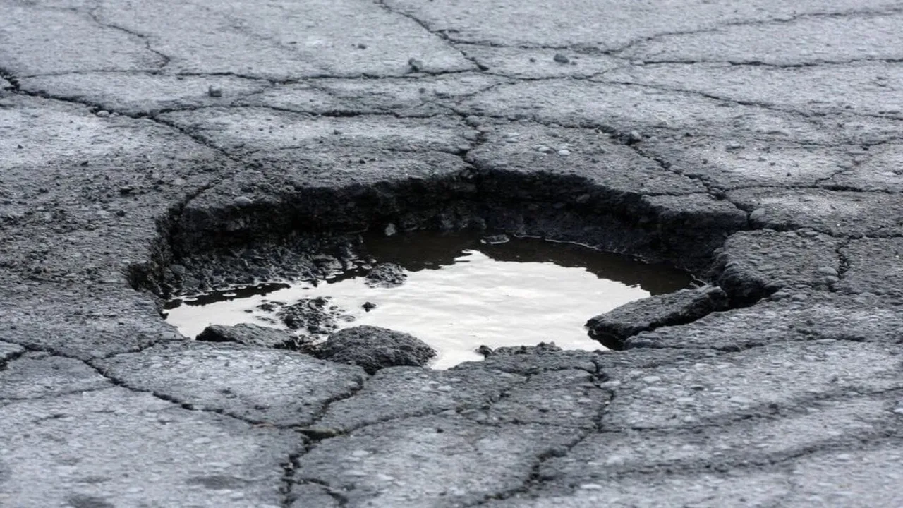 BACHES