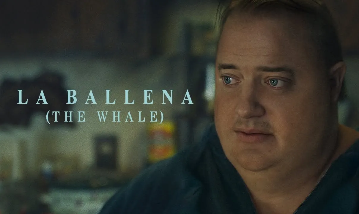 BALLENA ACOSTADO
