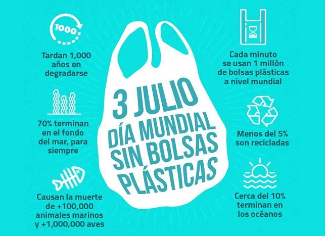 BOLSAS DE PLÁSTICO