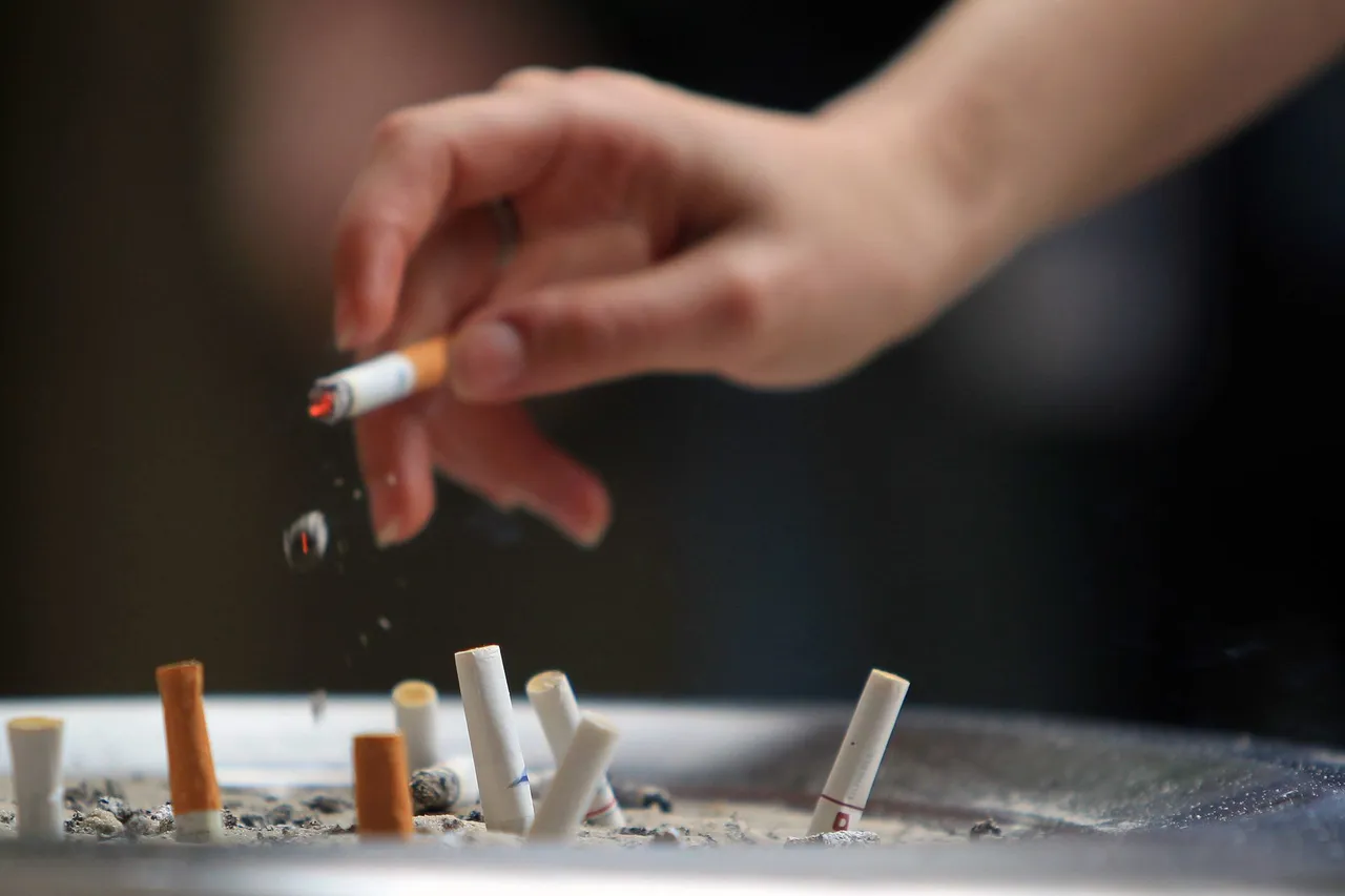 Autoridades decomisan más de 8.4 millones de cigarrillos presuntamente falsos en Manzanillo