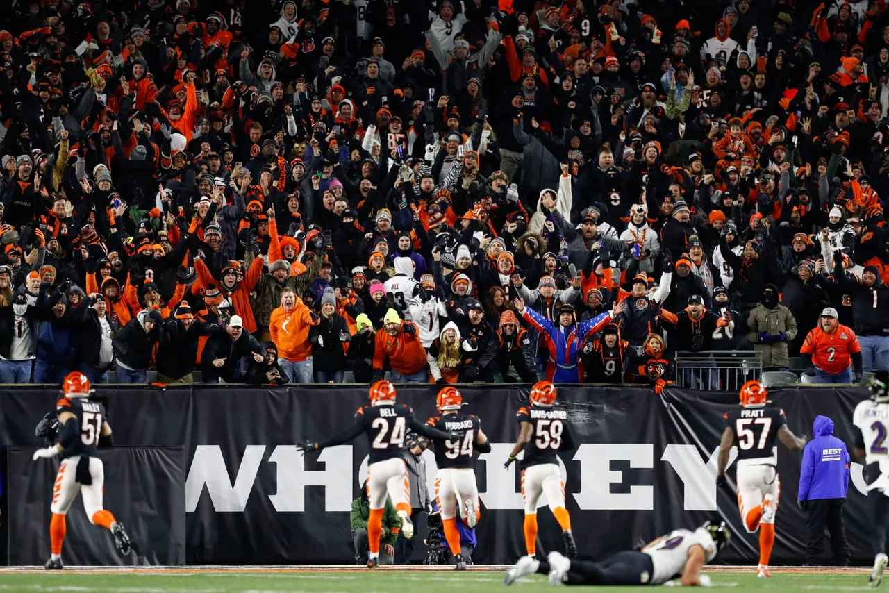 Bengals
