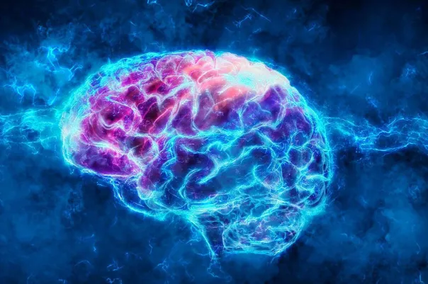 CEREBRO