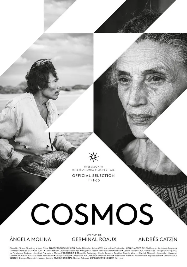 COSMOS-01-717x1024.jpg