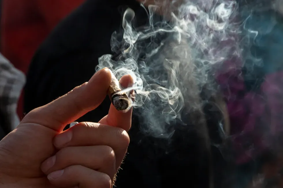Cannabis MARIHUANA