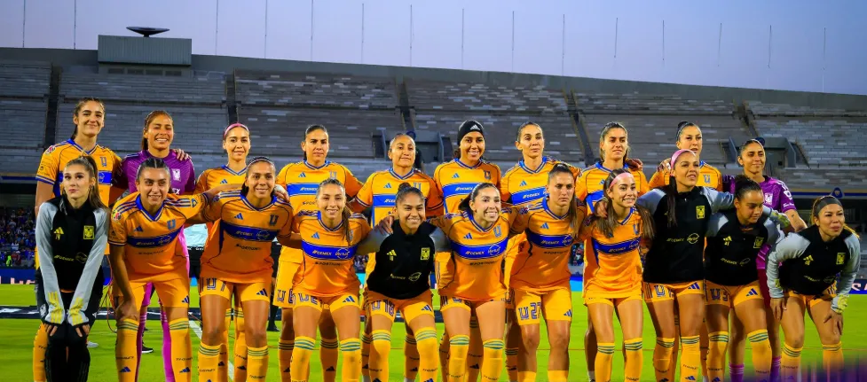 tigres