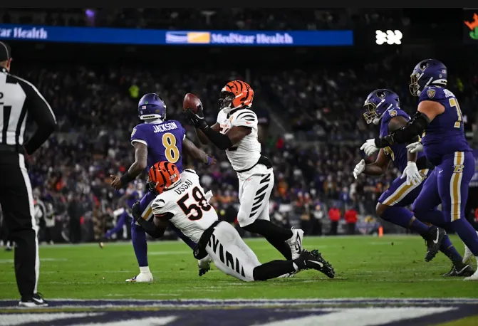 bengals