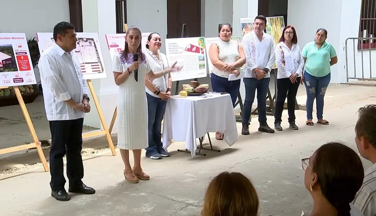 Sheinbaum propone aumentar las exportaciones de pequeños productores de cacao hacia Europa