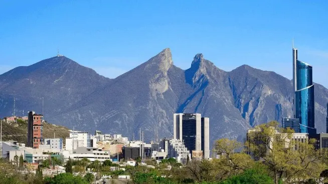 En Nuevo León detectan primer contagio de gusano barrenador en humano