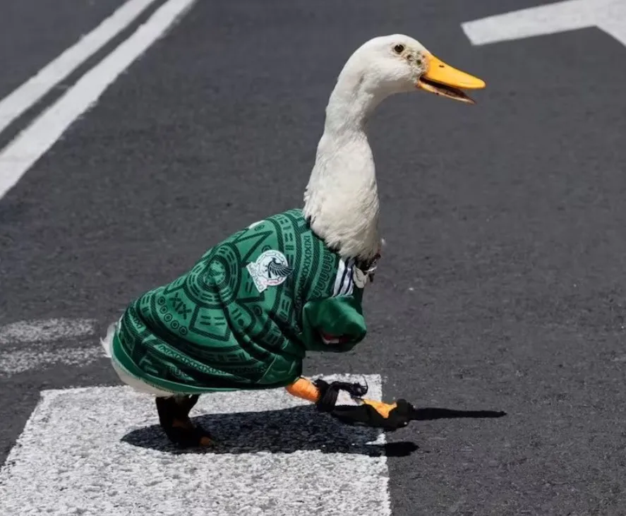"El nombre del Pato Merlín revoluciona el mundo con 1.2 billones de conversaciones": Especialista