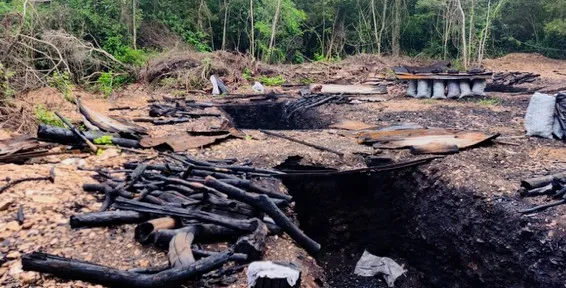 Profepa y Guardia Nacional desmantelan complejo clandestino de carbón vegetal en la Sierra de Tamaulipas