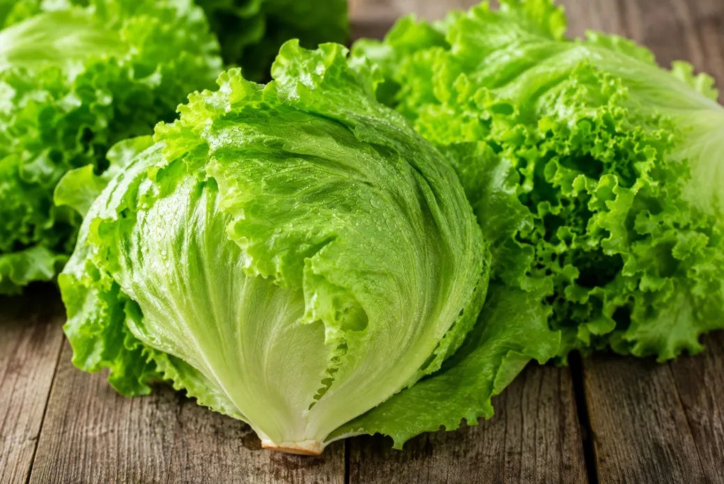 Retiran lechuga en EU por posible vínculo con brote de ciclosporiasis