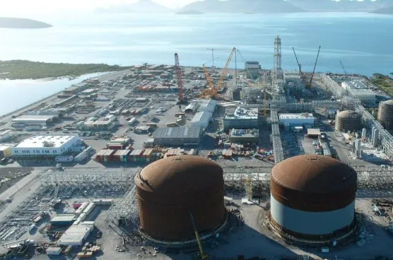 Greenpeace rechaza megaplanta de amoniaco en Sinaloa por riesgos ambientales y sociales