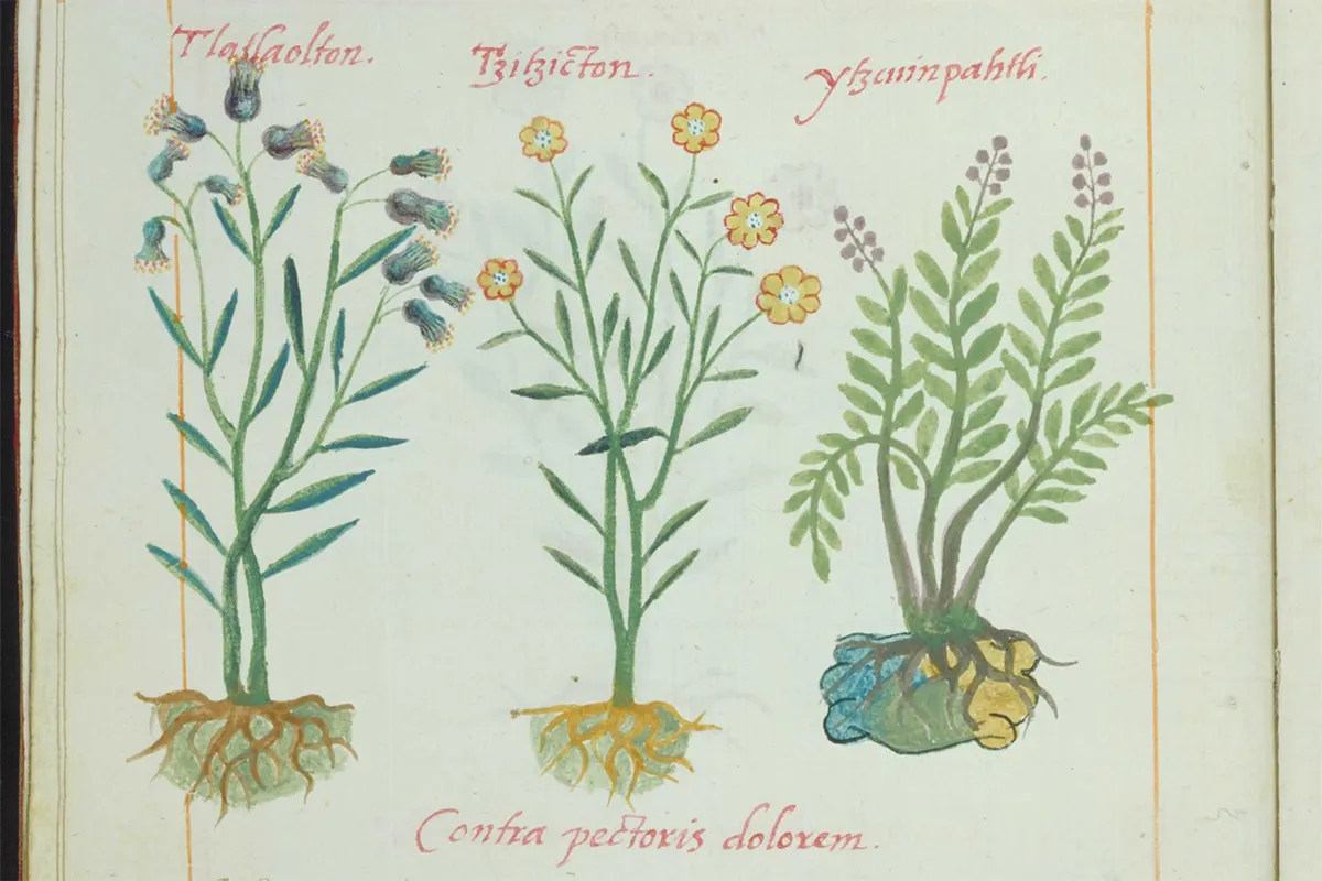 Codice-De-la-Cruz-Badiano