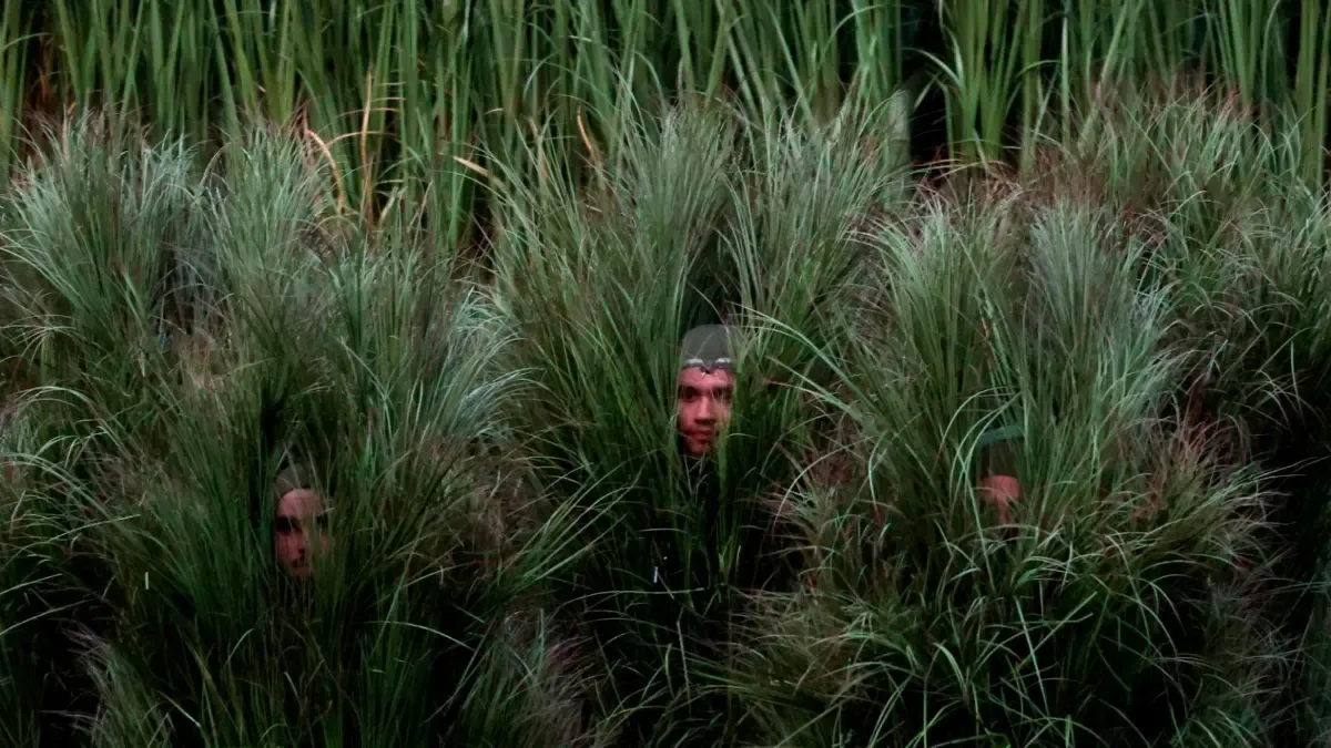 Los arbustos de Bad Bunny, peronas reales